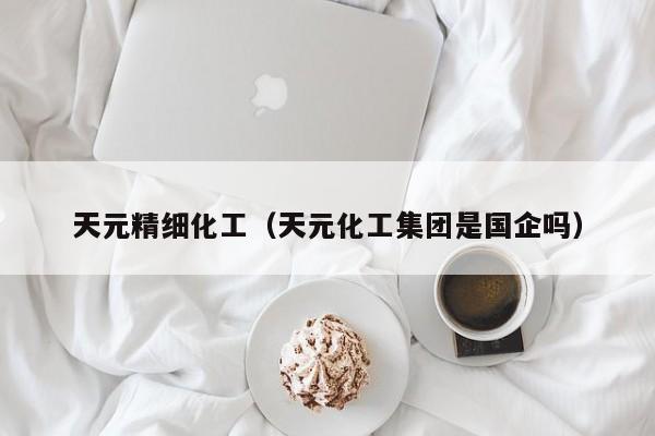 天元精细化工（天元化工集团是国企吗）