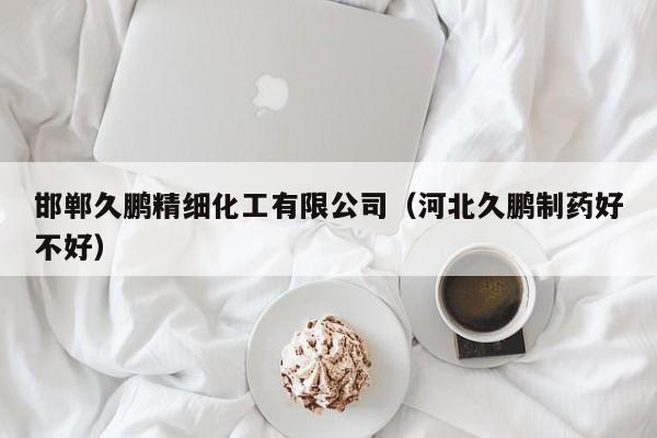 邯郸久鹏精细化工有限公司（河北久鹏制药好不好）